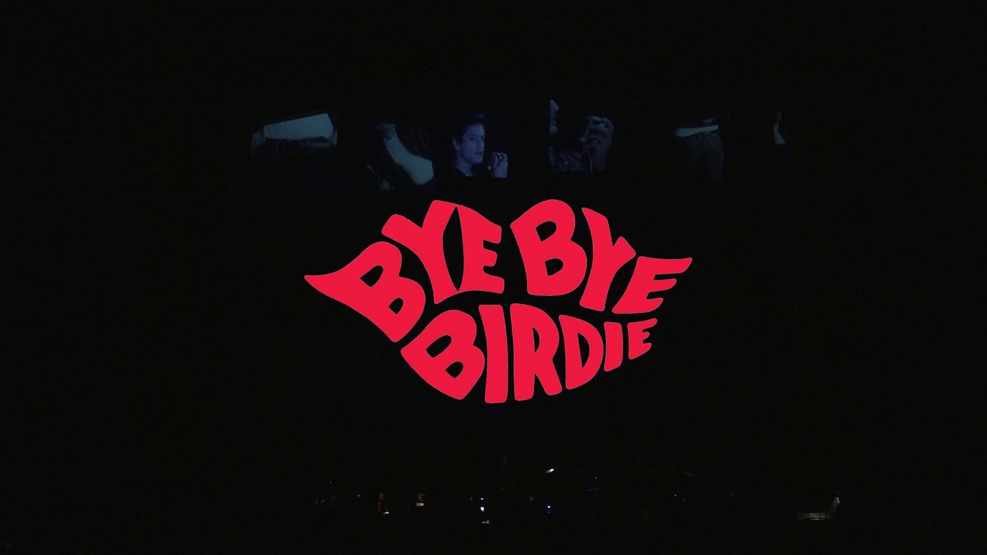 SHS Theatre Art Presents: Bye Bye Birdie